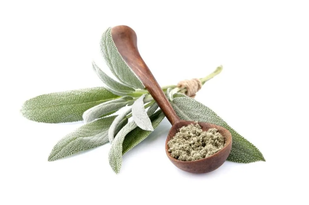 Sage Sage