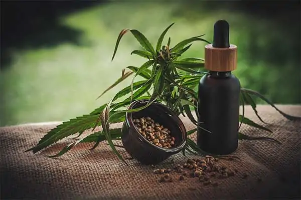 hemp-seed-oil