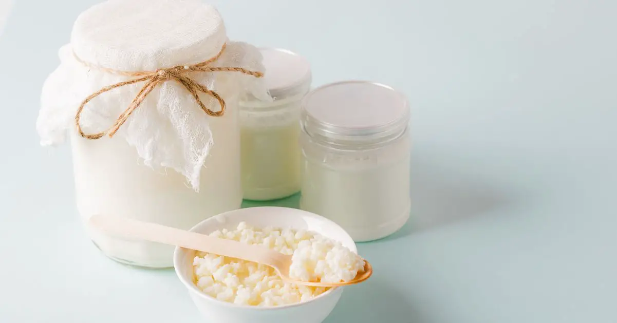 ¿Comment boire du lait fermenté? - macuisineentoutgenre