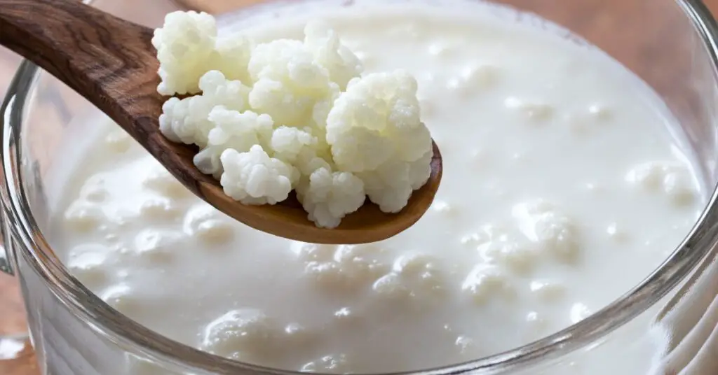 ]Qu'est-ce que le lait fermenté[